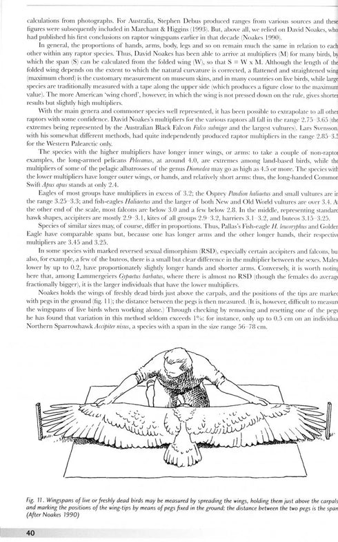 Raptors of the World - A Field Guide - James Ferguson-Lees 2005